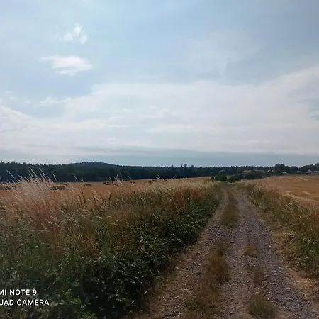 Skala * Пршибрам